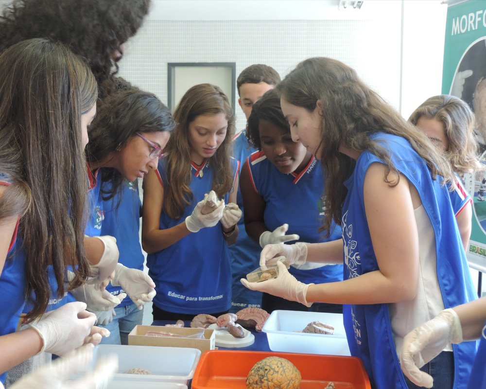Photo of young students studying brain samples