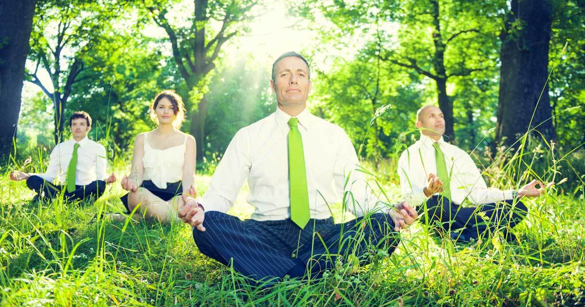 Photo of corporate employees meditating in the woods