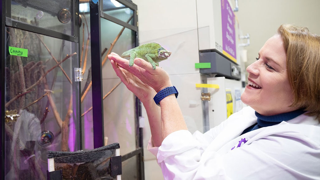 Photo of Yourick in her lab holding a chameleon