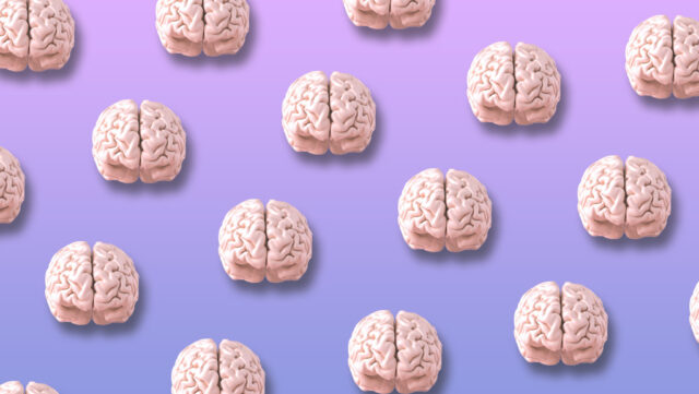 Sex Hormones and the Brain - Dana Foundation
