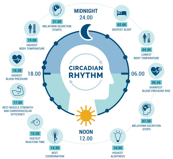 Understanding Sleep - Dana Foundation