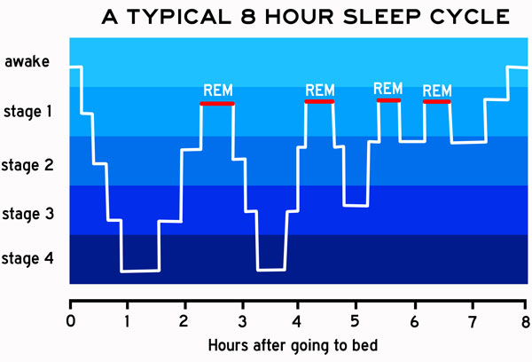 understanding-sleep-dana-foundation