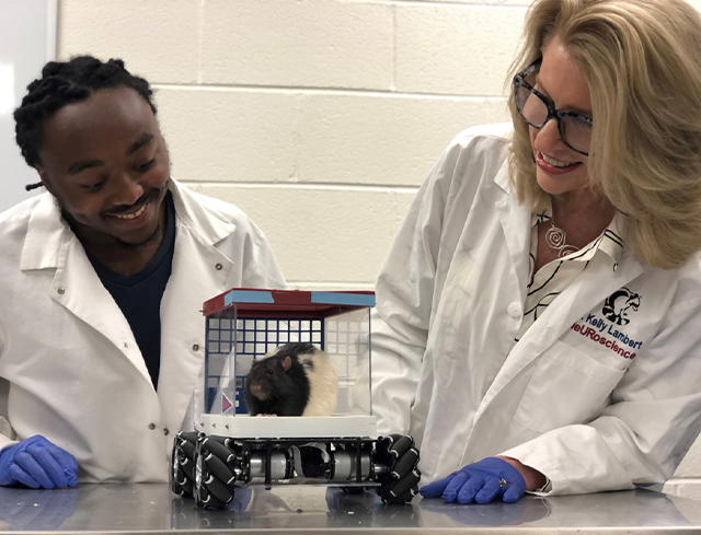 Two people in labcoats observing a rat