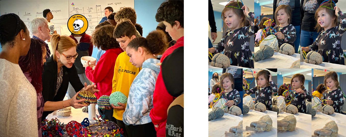 Two photos of neuroscience demonstrations with grade school students