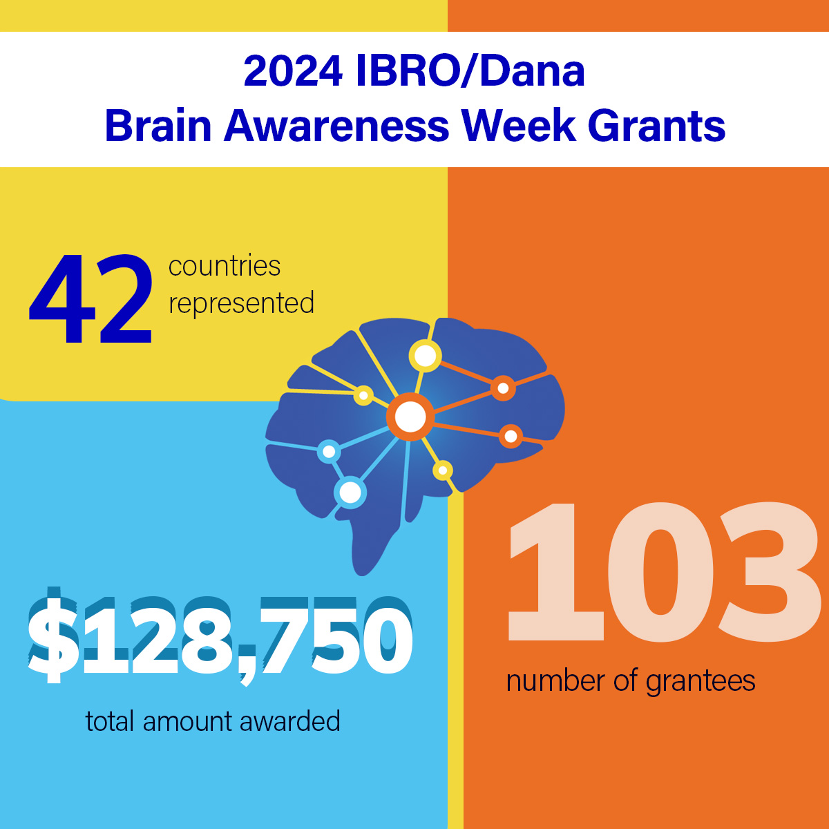 Infographic of 2024 IBRO/Dana Brain Awareness Week grants